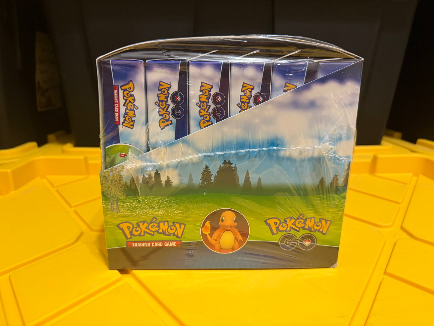 Pokemon GO Pin Collection Display