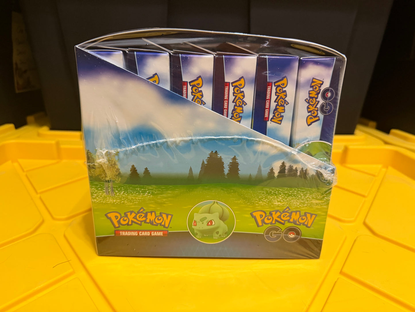 Pokemon GO Pin Collection Display